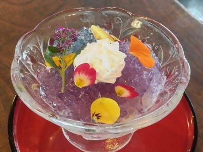 うつわに盛り付けられたかよたま商店のエディブルフラワーを使った彩りプリン